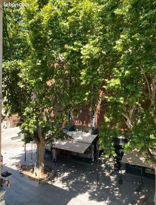 Appartement Studio Intra-Muros Avignon